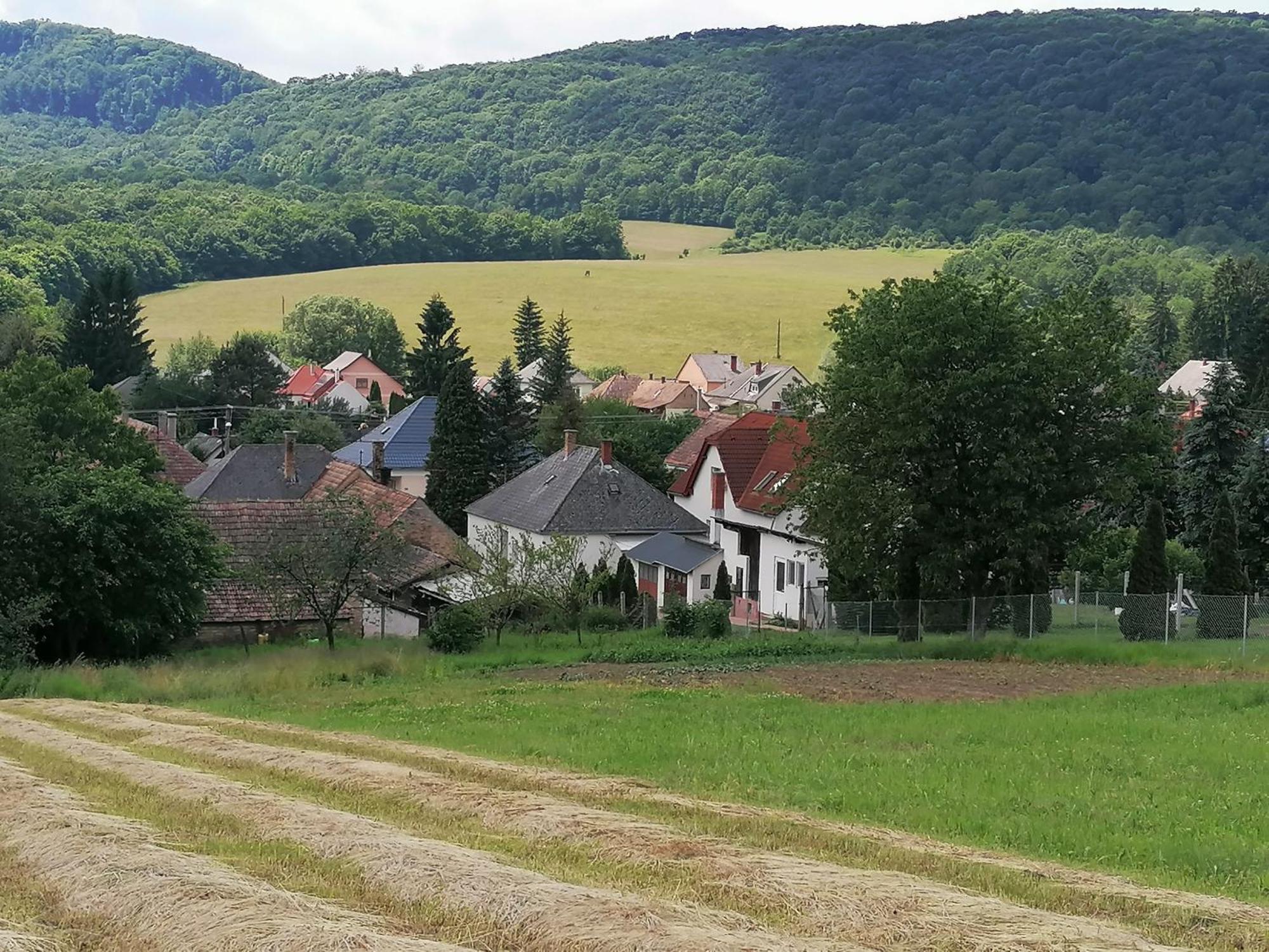 Borostyankut Wellness Home Bakonybél 外观 照片