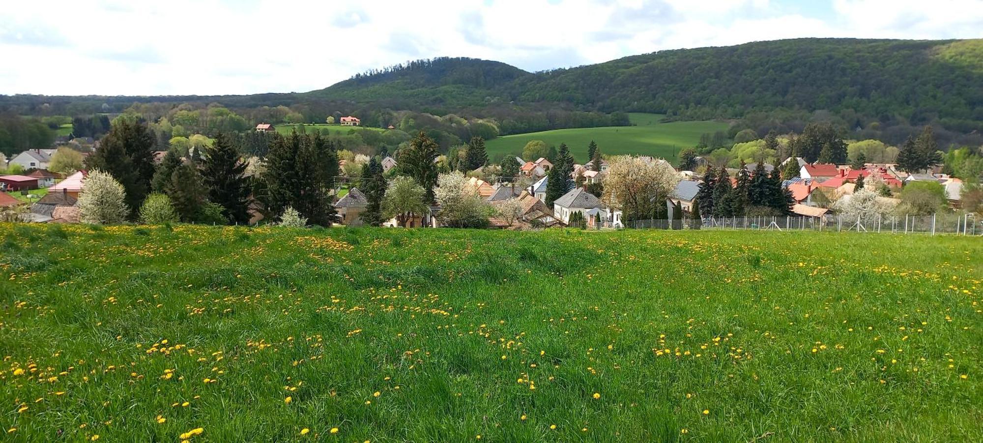 Borostyankut Wellness Home Bakonybél 外观 照片