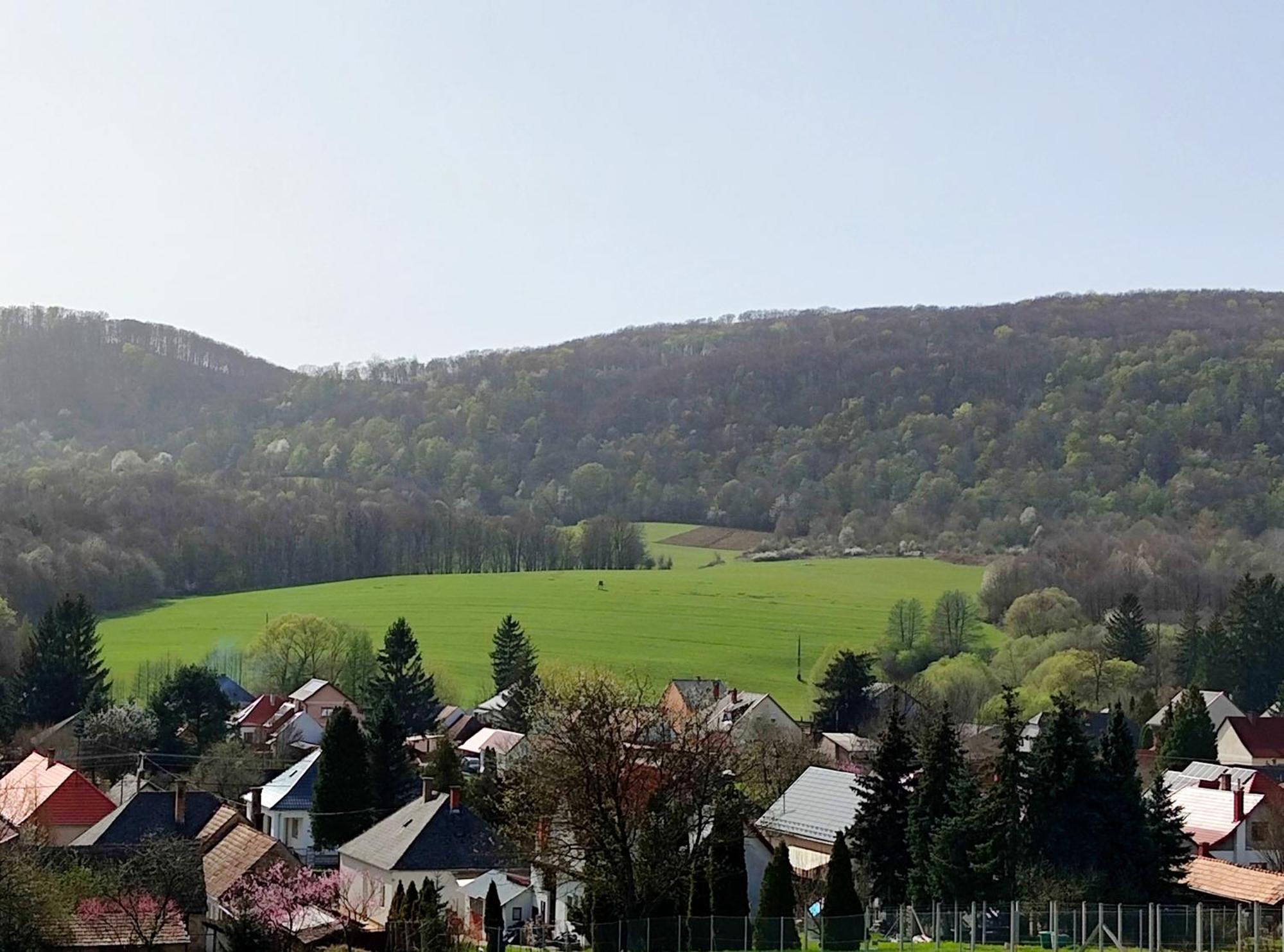 Borostyankut Wellness Home Bakonybél 外观 照片